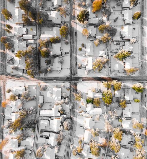 NEIGHBORHOOD BIRDS EYE